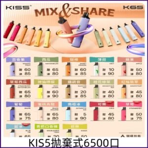 KIS5 6500口拋棄式 鎧斯5號一次性自由混搭磁吸電子煙