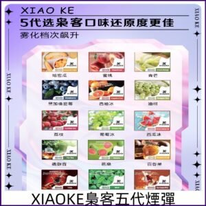 梟客五代煙彈 XIAOKE梟客可替換式五代電子煙 通用ILIA五代主機